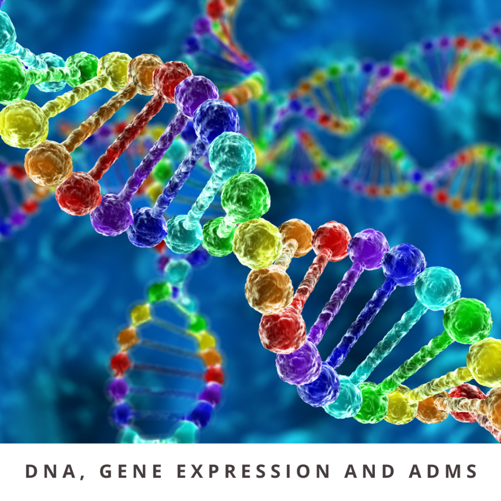 DNA, Gene Expression, and ADMs