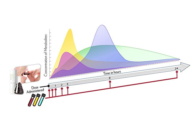 Concentration of Metabolites