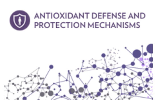 Antioxidant Defense and Protection Mechanisms