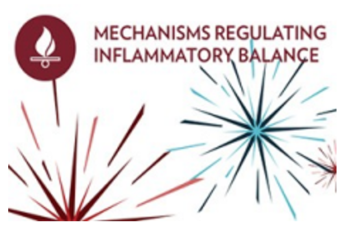 Mechanisms Regulating Inflammatory Balance  